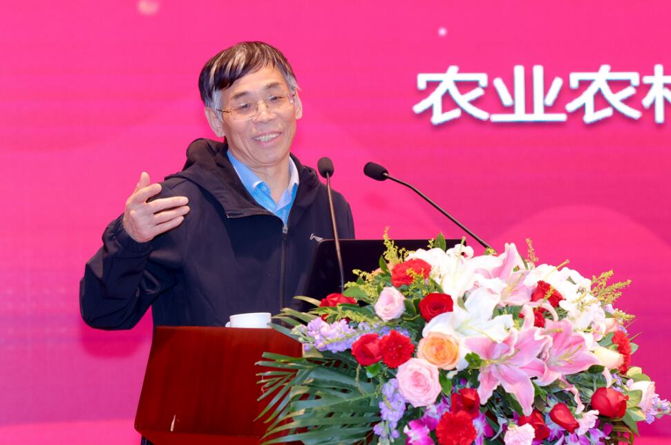 宋洪遠.jpg